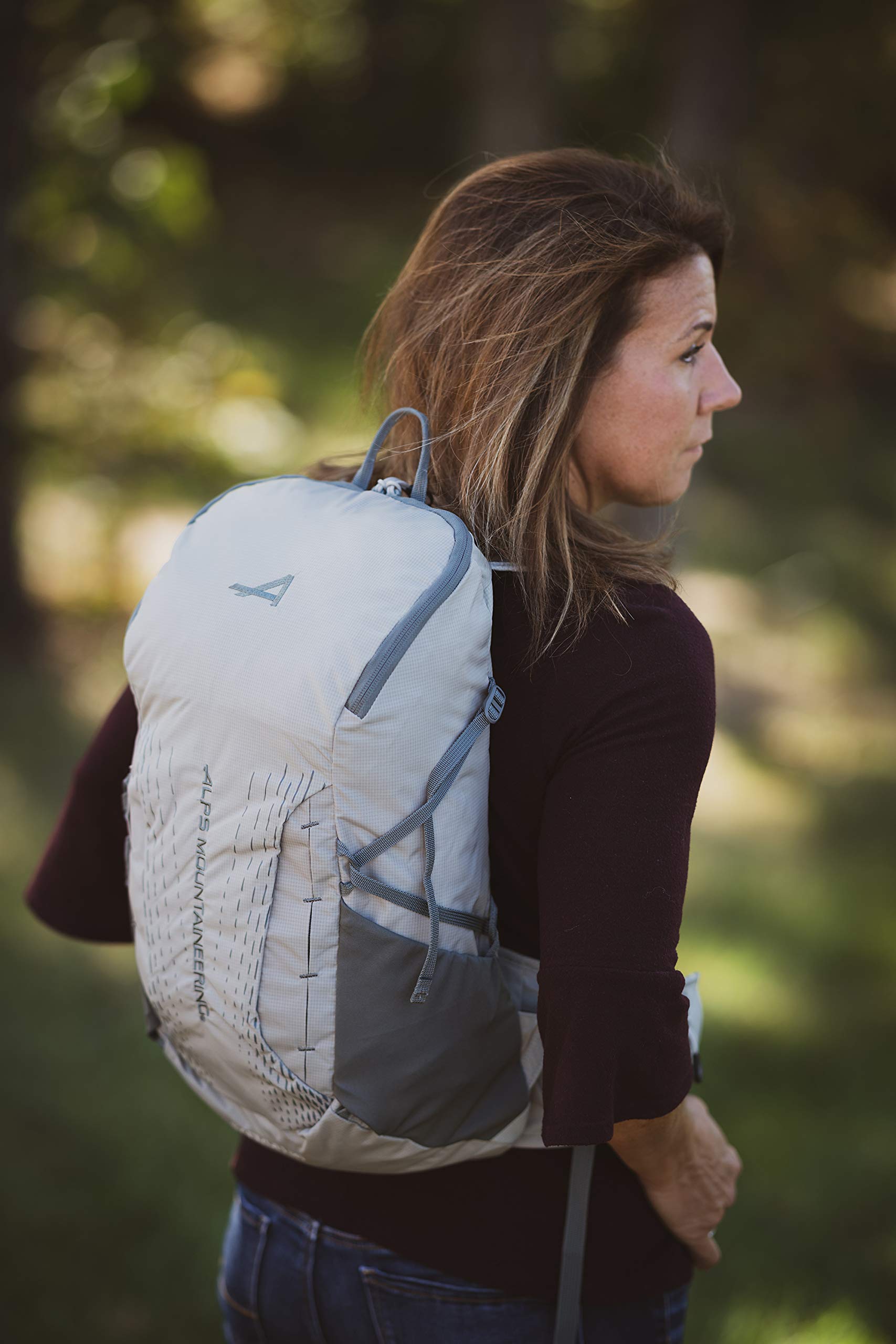 ALPS Mountaineering Canyon 20L, Gray/Gray, 20 Liters