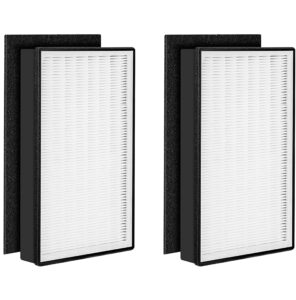 fette filter - filter type a2 h13 grade true hepa, compatible with filtrete room air purifier fap-c02-a2, fap-c03-a2, fap-t03-a2, fap-sc02l, part # 1150101, filter a2 - pack of 2 + 2 carbon filters