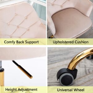 SSLine Elegant Velvet Desk Chair for Girls Women Modern Swivel Office Computer Chair on Wheels Cute Vanity Chair Leisure Chair w/Arm for Home Study Living Room (Beige and Gold Base)