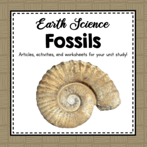 fossils - earth science unit
