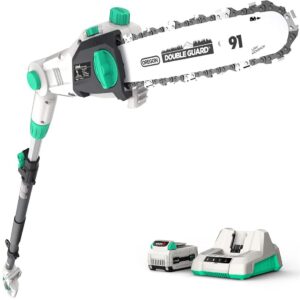 litheli cordless pole saw 10″, 40v pole saws for tree trimming, battery pole saw for branch cutting, trimming, pruning, with 2.5ah battery & charger included