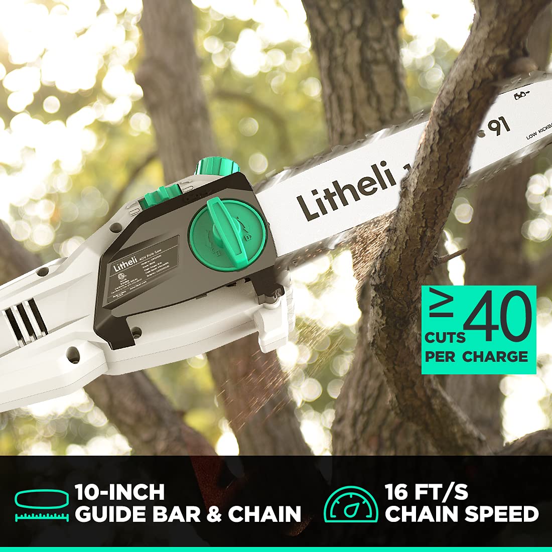 Litheli Cordless Pole Saw 10″, 40V Pole Saws for Tree Trimming, Battery Pole Saw for Branch Cutting, Trimming, Pruning, with 2.5Ah Battery & Charger Included