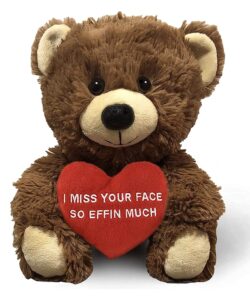 i miss your face so effin much - 10" teddy bear & gift bag - funny stuffed animal plush gift for girlfriend, boyfriend, best friend - birthday, anniversary, valentines, or long distance - witty bears