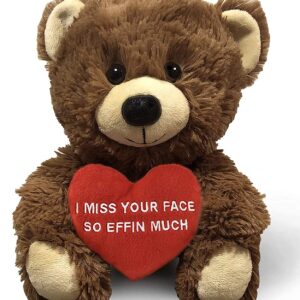 I Miss Your Face So Effin Much - 10" Teddy Bear & Gift Bag - Funny Stuffed Animal Plush Gift for Girlfriend, Boyfriend, Best Friend - Birthday, Anniversary, Valentines, or Long Distance - Witty Bears