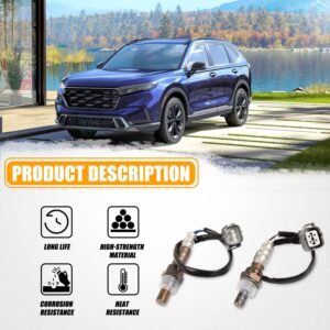 RANSOTO 2 pcs Upstream & Downstream O2 Oxygen Sensor Air Fuel Ratio Compatible with 2002 2003 2004 Honda CR-V CRV EX LX 2.4L Replaces 234-9005 234-4125 15575 13706