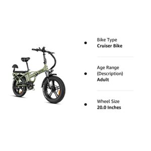 Rattan 750W Foldable Electric Bikes 48V 13AH Removable Battery 20" x 4.0 Fat Tire Ebike 2 Seater Electric Bike for Adults