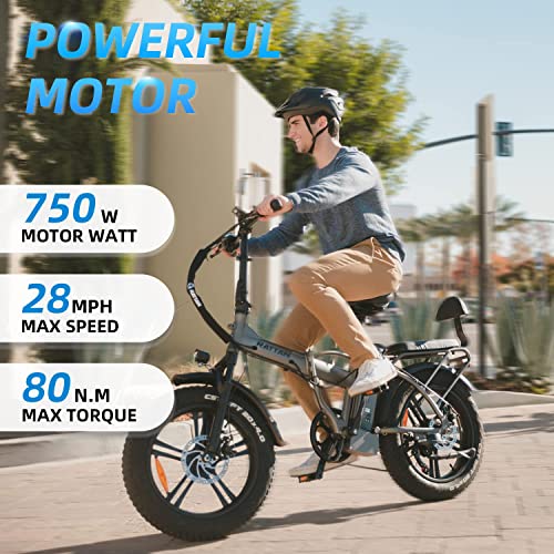 Rattan 750W Foldable Electric Bikes 48V 13AH Removable Battery 20" x 4.0 Fat Tire Ebike 2 Seater Electric Bike for Adults