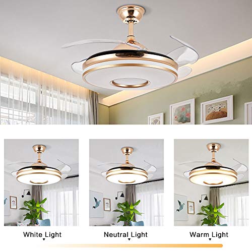 42 Inch Modern Golden Ceiling Fan with Light and Remote Control Bluetooth Music Playback Function 3 Colors 3 Speed Smart Ceiling Fan Light Kit LED Chandelier Ceiling Fan for Living Room Bedroom (Wave)