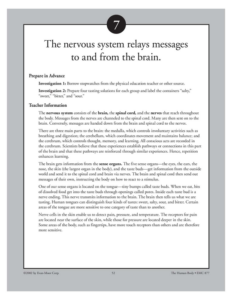 the nervous system relays messages tofrom the brain