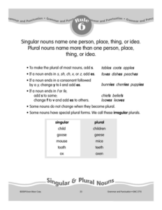 rule 6 singular & plural nouns