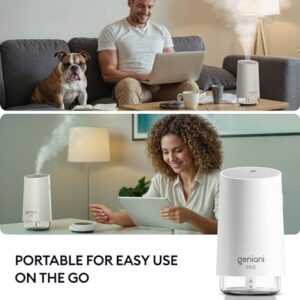 GENIANI Portable Small Cool Mist Humidifiers 250ML - USB Desktop Humidifier for Plants, Office, Car, Baby Room with Auto Shut Off & Night Light - Quiet Mini Humidifier (White)