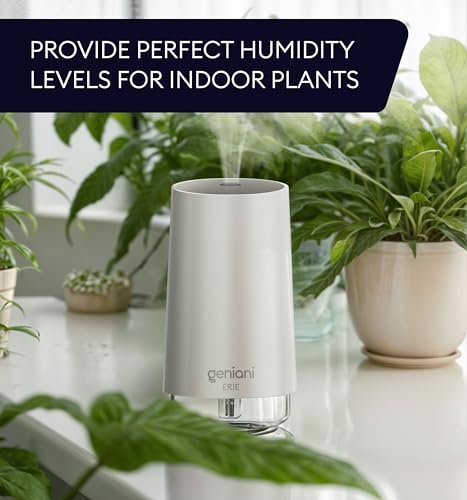 GENIANI Portable Small Cool Mist Humidifiers 250ML - USB Desktop Humidifier for Plants, Office, Car, Baby Room with Auto Shut Off & Night Light - Quiet Mini Humidifier (White)