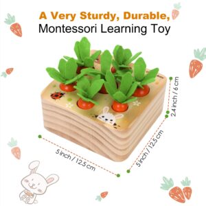 Giggles Montessori Carrot Harvest - Wooden Educational Toys for Boys and Girls - Preschool Learning Gift - Toddlers Wood Game – Shape Sorting Toy - Worm Toy Playset - for Age 1 2 3 Year Old