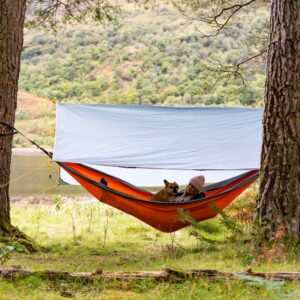 Nevis Outdoor Camping Hammock for Two People - Holds up to 500lbs - with Adjustable Tree Straps, Heavy Duty Aluminium Carabiners and Integrated Carrying Pouch. A Must-Have Camping Accessory