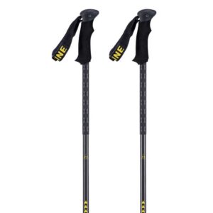 2021 line vision adjustable ski poles