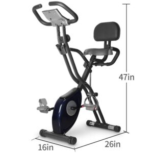 leikefitness Folding Exercise Bike 2200(BLUE) and Adjustable Ab Trainer 9300(PURPLE) Bundle