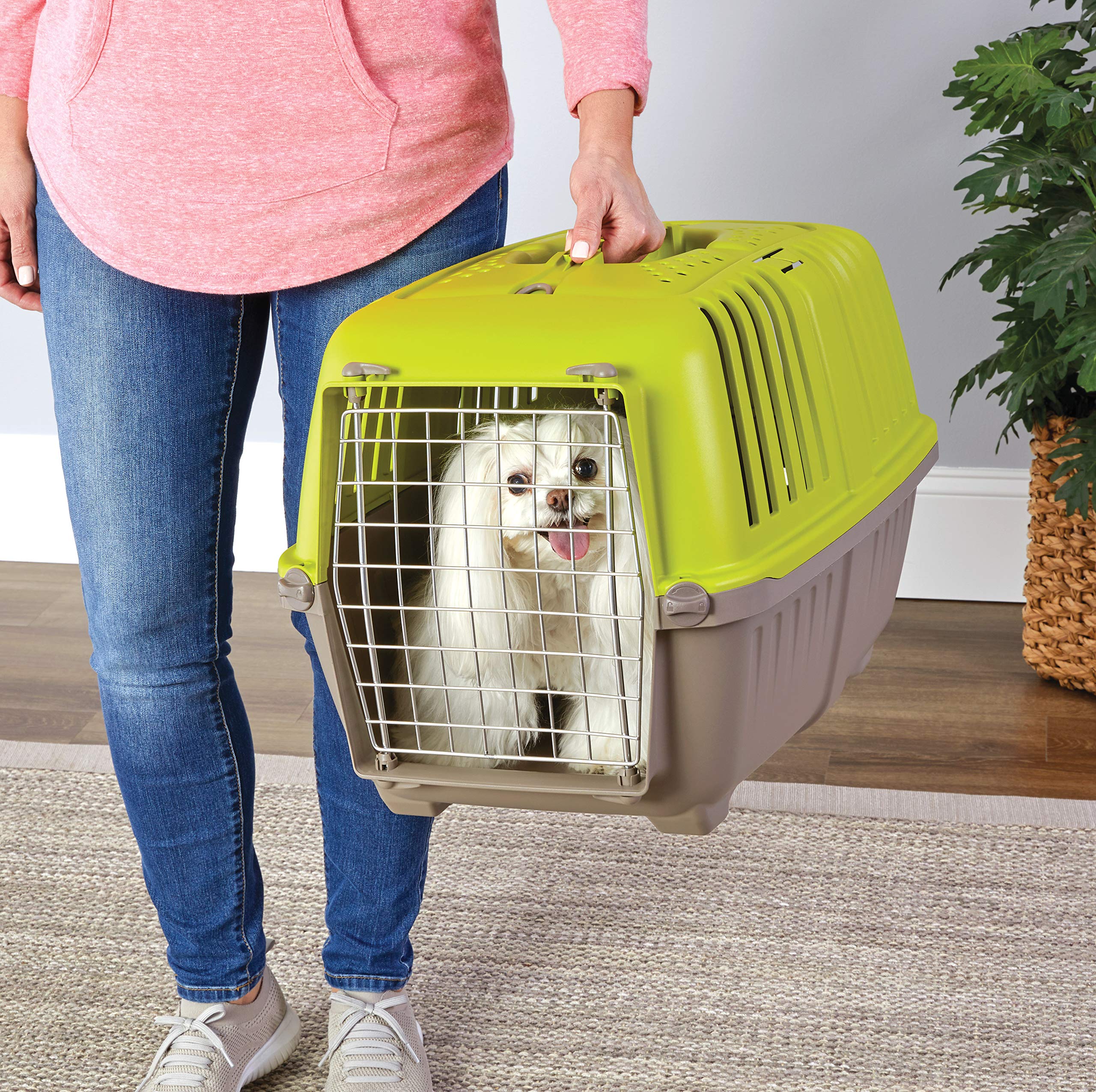 MidWest Homes for Pets Spree Travel Pet Carrier, Dog Carrier Features Easy Assembly and Not The Tedious Nut & Bolt Assembly of Competitors, Green, 24-Inch Small Dog Breeds (1424SPG)