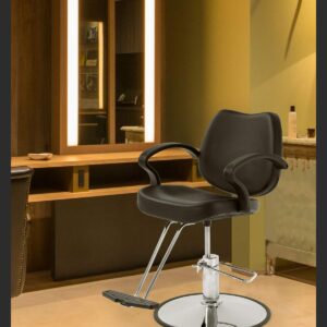 FDW Styling Heavy Duty Pump Adjustable Hydraulic Chair for Hair Stylist Women Man, 20x19x25 Inch (Pack of 1), Black
