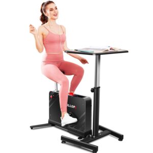 HIROLLOP Indoor Cycling Bike, Standing Desk Exercise Bike with Fully Adjustable for Home, Office, Sport and Workout Cardio（exercise bike with desk）