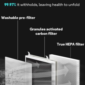 True HEPA Filter for Levoit Vital 100 Air Purifier, Vital 100-RF Replacement Filter, 2 Pack