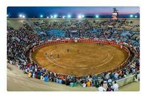 lesgaulest doormat floor rug/mat (23.6 x 15.7 inch) - bull ring plaza de toros panorama maracaibo