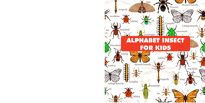alphabet insect for kids