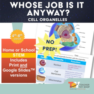 animal cells organelle activity | google slides™ for distance learning + print