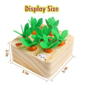 Wooden Toys for 1 2 3 Year Old Baby Boys and Girls, Montessori Toy Carrot Harvest Game Shape & Sorting Matching Puzzle, Educational Developmental Birthday Gifts for Babies Toddlers Kids 12 Months