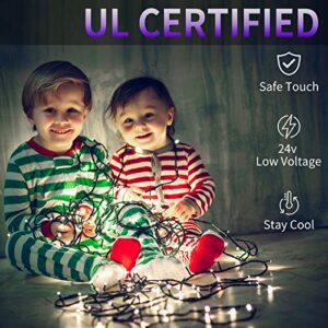 holahome 300 LED Christmas String Lights Outdoor Indoor, 115Ft Waterproof 8 Modes Cool White Twinkle Fairy Lights for Wedding Party Yard Tree Decorations