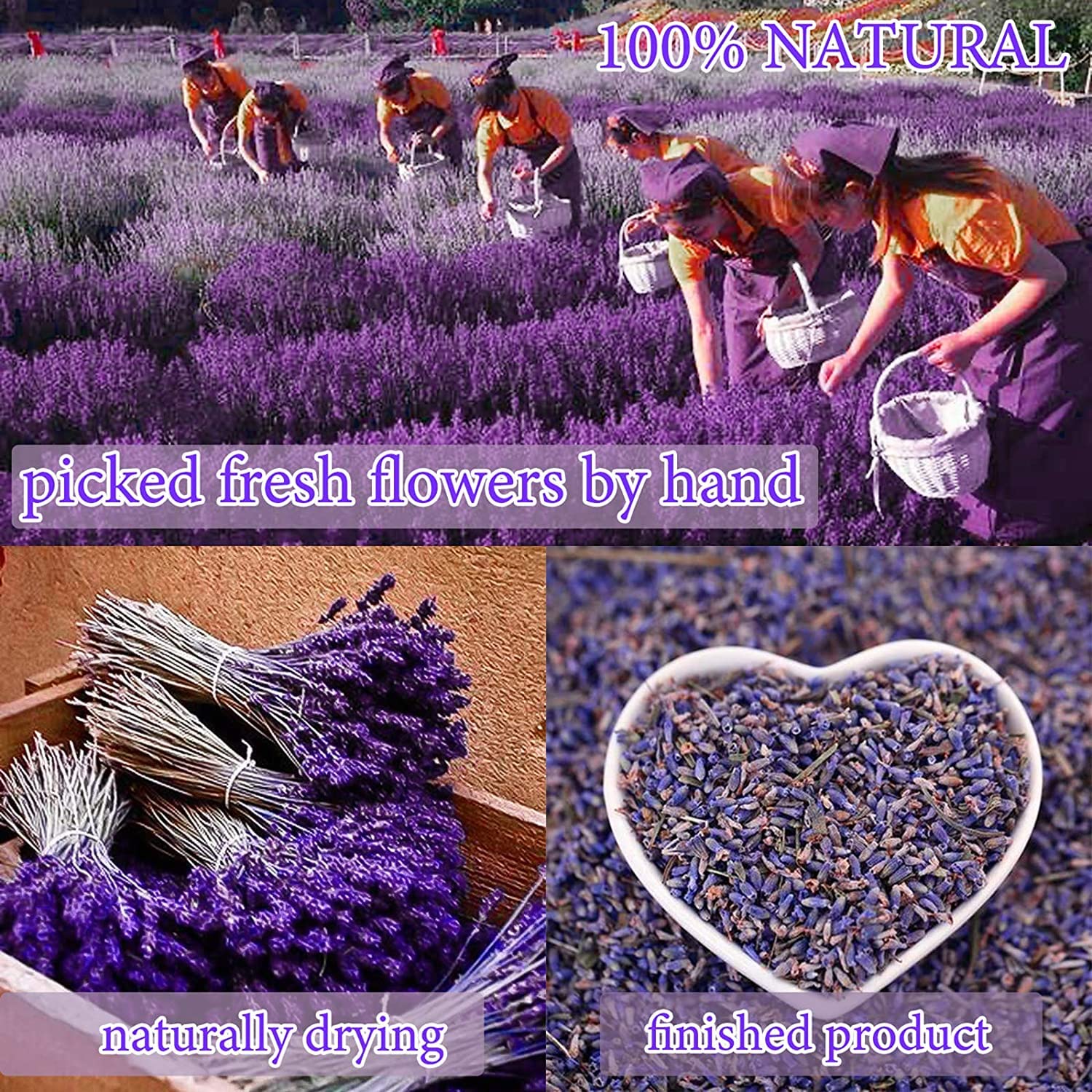 20 Bags Dried Flowers,100% Natural Dried Flowers Herbs Kit for Soap Making, DIY Candle Making,Bath - Include Rose Petals,Lavender,Don't Forget Me,Lilium,Jasmine,Rosebudsand More