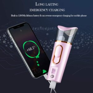 Nano Facial Mister with Skin Analyzer Moisture Tester, FANTEXY Portable Mini Cool Face Mist Steamer with USB, Handy Facial Sprayer for Eyelash Extensions, Face Moisturizing,Hydration Refreshing