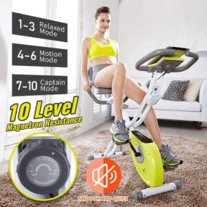 leikefitness Folding Exercise Bike and Ab Wheel Roller with Intelligent Display Bundle