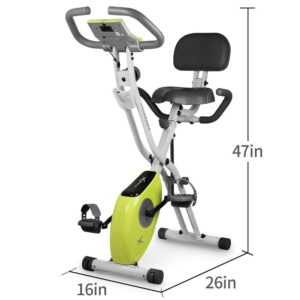 leikefitness Folding Exercise Bike and Ab Wheel Roller with Intelligent Display Bundle