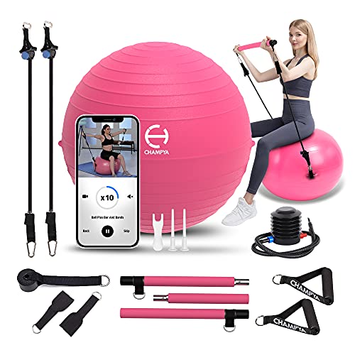 𝗘𝘅𝗲𝗿𝗰𝗶𝘀𝗲 𝗕𝗮𝗹𝗹 for Working Out 65 cm-Yoga Ball Chair & Balance Ball for Pregnancy, Birthing Physical Therapy & Chair for Office - Stability Ball & Stainless Steel Pilates Bar for Workout