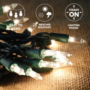 Joiedomi Clear Christmas Lights Outdoor, 400(4x100) Counts 105.6FT Christmas Tree Lights Indoor, Warm White String Lights, Green Wire Xmas Lights Decorations for Holiday Event Wedding Party Decor