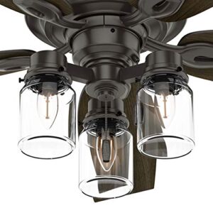 Hunter Fan 52 inch Casual Noble Bronze Indoor Ceiling Fan with Light Kit and Pull Chain (Renewed)