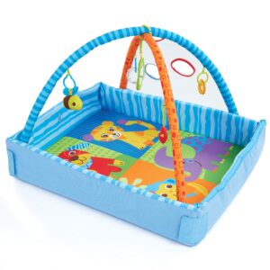 bruin 2 in 1 playgym