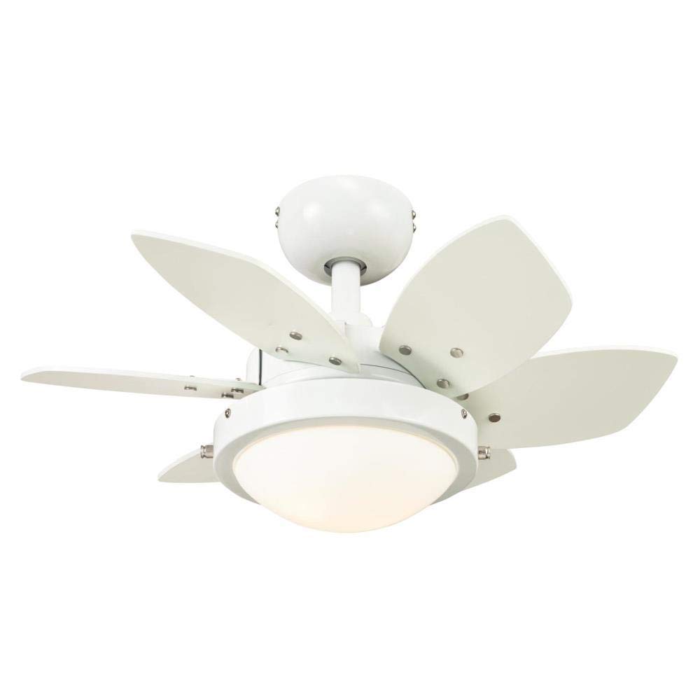 Ciata Small Ceiling Fan With Light, 24 Inch Quince Indoor Ceiling Fan in White Finish with Dimmable LED Light Fixture in Opal Frosted Glass with Reversible White/Beech Blades