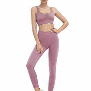 SUPJADE Buscando Ribbed Workout Outfits Sets for Women 2 Piece Seamless High Waist Athletic Leggings +Bras Yoga Outfits Two Piece (Light Purple, Large)