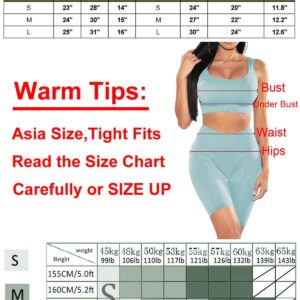 SUPJADE Buscando Ribbed Workout Outfits Sets for Women 2 Piece Seamless High Waist Athletic Leggings +Bras Yoga Outfits Two Piece (Light Purple, Large)