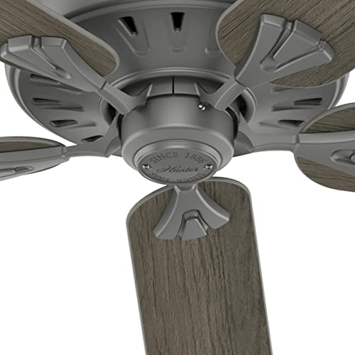 Hunter Fan Company, 51119, 60 inch Royal Oak Matte Silver Ceiling Fan and Handheld Remote