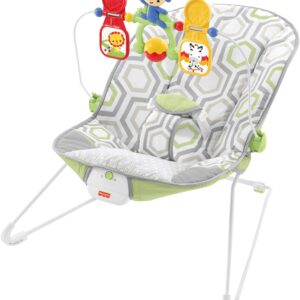 Fisher-Price Baby's Bouncer – Green, bouncing seat for soothing and play for newborns and infants [Amazon Exclusive]