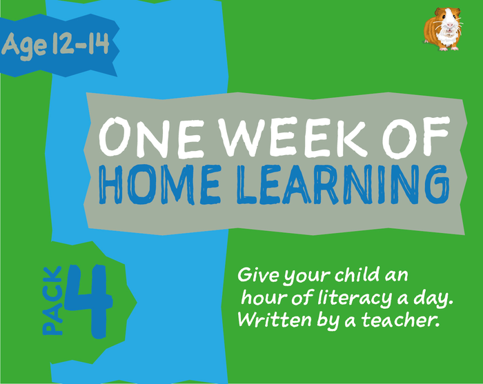 1 WEEK Of Literacy Distance Learning: Pack FOUR (age 12-14 years) Grades 6-8