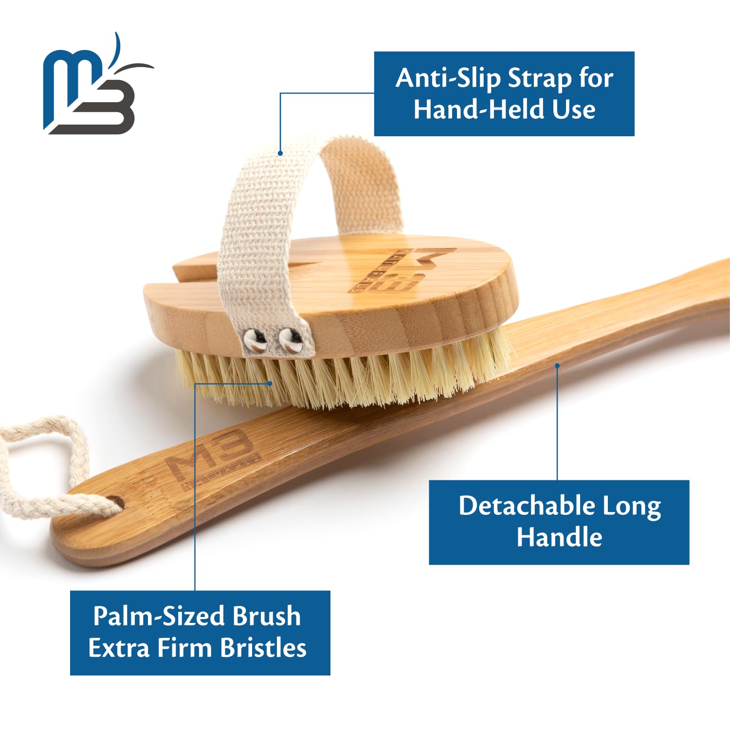 Dry Body Brush | Anti Cellulite Brush | Blood Circulation, Skin Smoothing | Tighten, Tone, Exfoliate & Firm Skin | Use on Scalp, Skin & Muscles