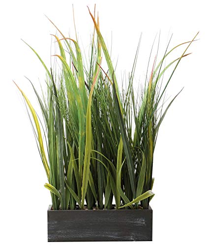 SAROSORA Artificial Plants 22" Tall for Garden Indoor Greenery Tabletop Decor Home Fake Grass | Fauk Plants (1, 22")