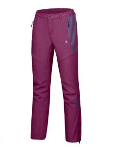 little donkey andy women’s winter hiking ski snowboarding pants, softshell pants, fleece lined and water repellant purple m