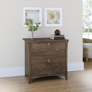 Bush Furniture Salinas Lateral File Cabinet 2 Drawer File Cabinet in Ash Brown Office Storage Filing Drawer Home Office Storage Organizer