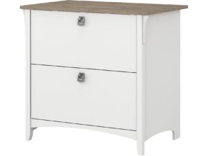 bush furniture salinas 2 drawer lateral file cabinet in pure white and shiplap gray