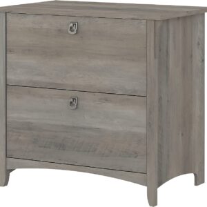 Bush Furniture Salinas Lateral 2 Cabinet Filing Drawer | Home Office Storage Organizer, Driftwood Gray