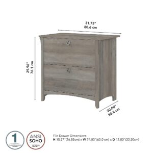 Bush Furniture Salinas Lateral 2 Cabinet Filing Drawer | Home Office Storage Organizer, Driftwood Gray